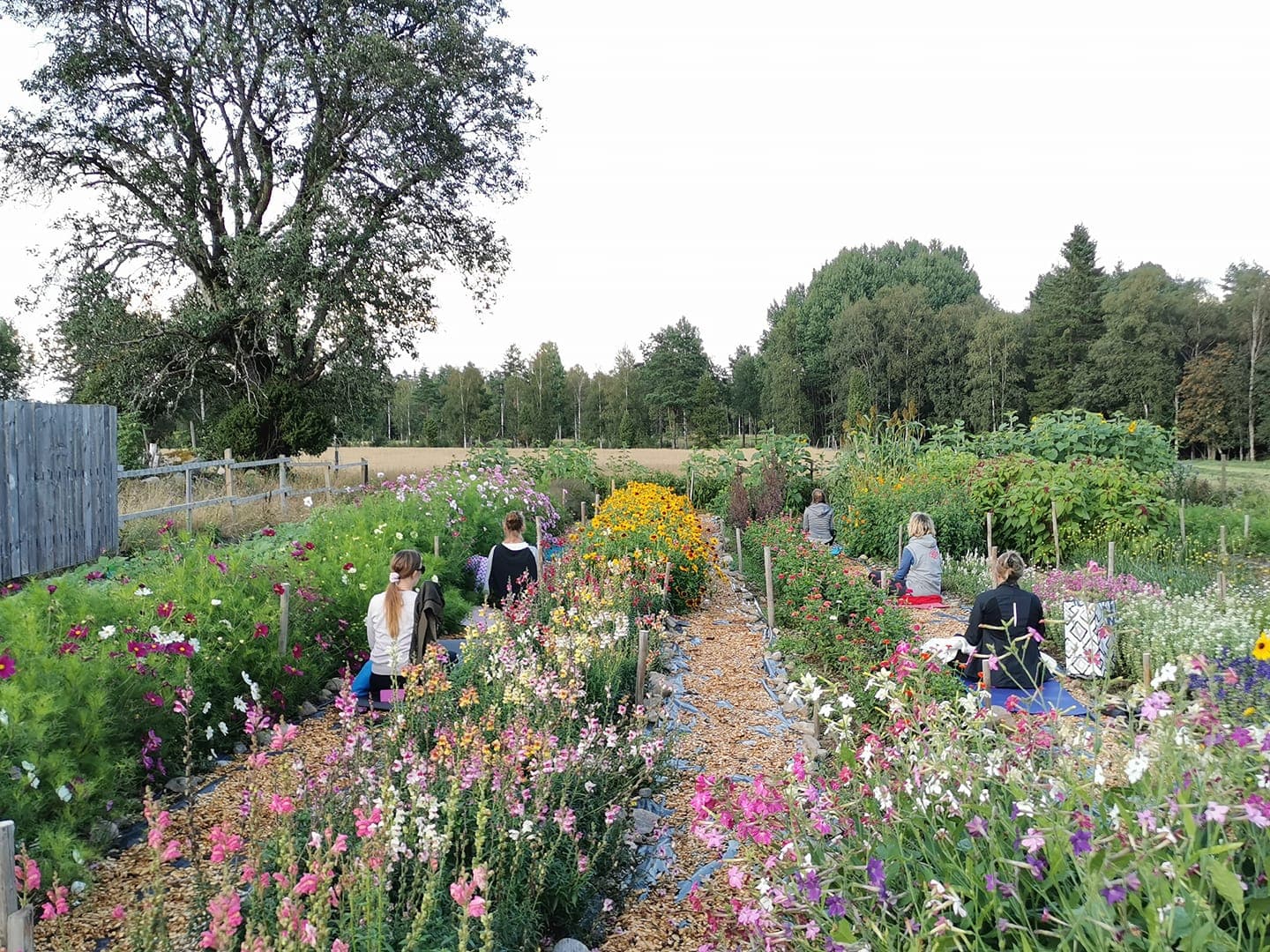 Massage och välmående – bild 6